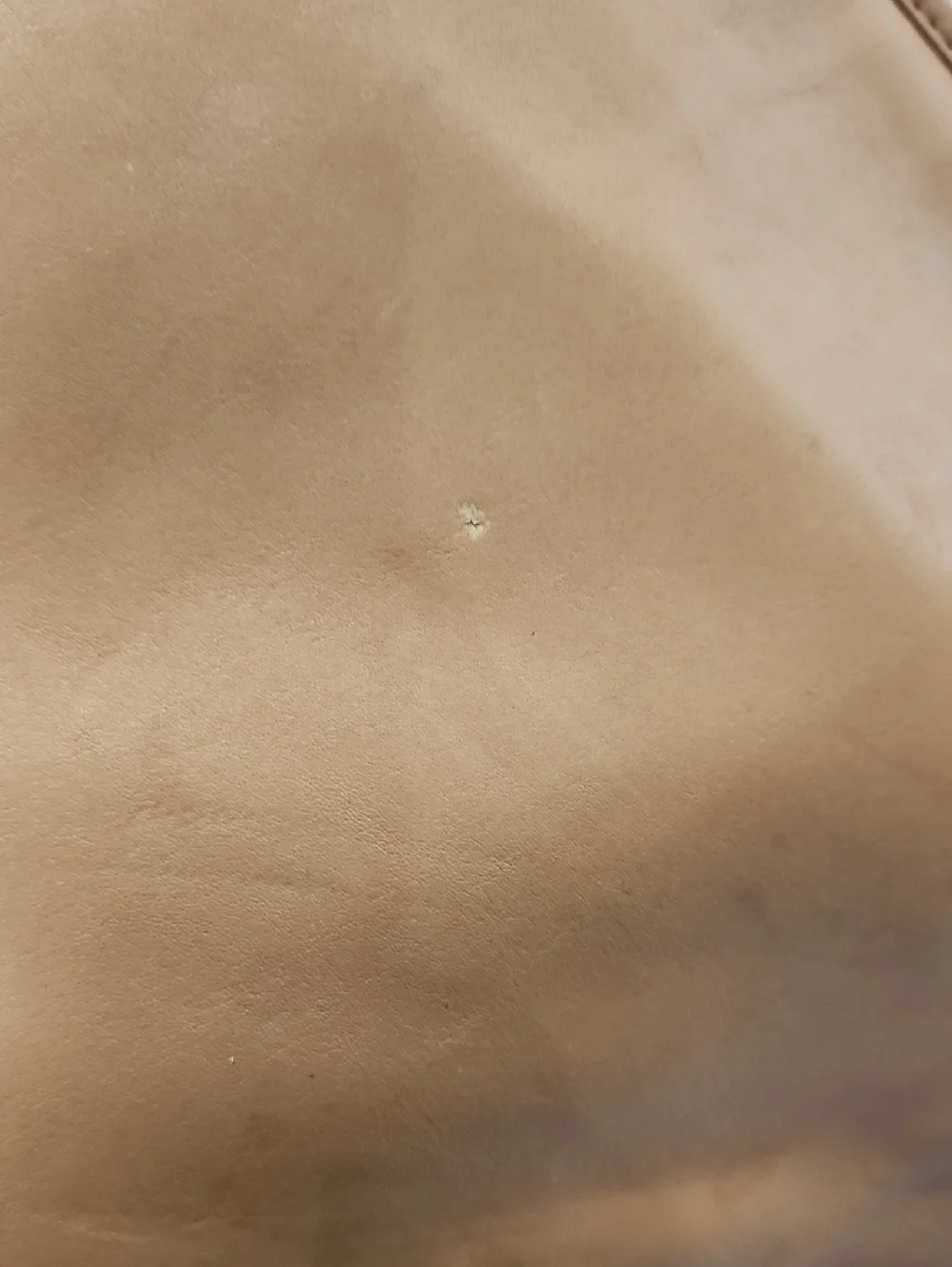 Vintage Coach Bag - Picture 16 of 16